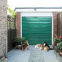 Doggie area - everyones a winner