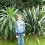 Harry and Echium (Echium)