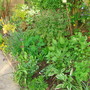 Left border so far - May 2007