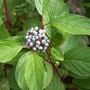 100_9892.jpg