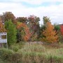 100_9902.jpg