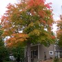 100_9908.jpg