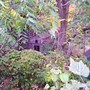 100_9912.jpg
