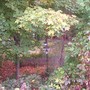 I liked all the birdhouses
