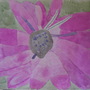 Jade's Flower Picture