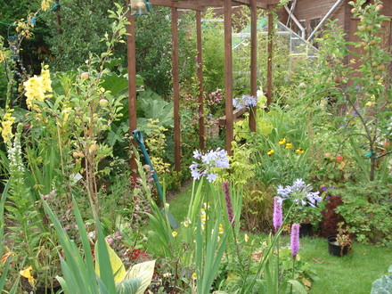 My garden 07