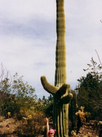 Kay Cactus (Saguaro)