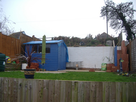 my garden.