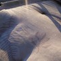 Frost on my lounger......