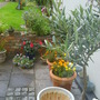 patio containers