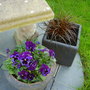 autumn containers