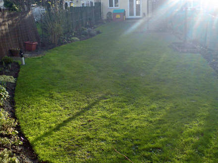 View from the back end of the garden