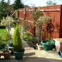 FENCE TO PAINT