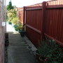 PAINTED FENCE