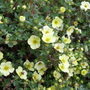 Captured_2007-5-13_00016