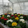 Ngs_snow___spring_pics_035