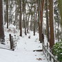 Ngs_snow___spring_pics_048
