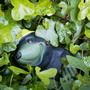 Mole & Ladybird