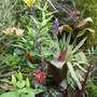 Colour, pattern,texture and form