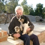 Doggie heaven!