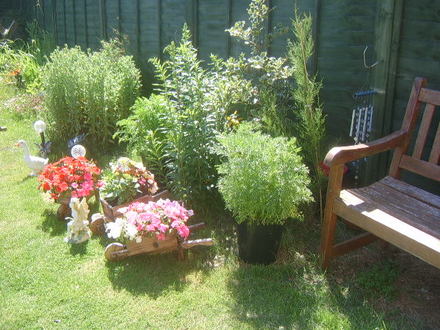 Summer garden