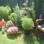 Garden_07_011
