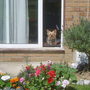 Garden_07_014