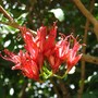 To be identified