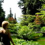 Picture_084.jpg