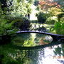Picture_058.jpg