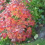 Dscf2284