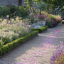 The Walled Garden at Cowdray