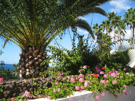 Tenerife