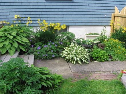 shade garden