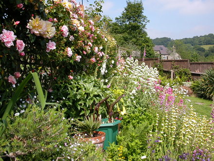 halfway up the garden