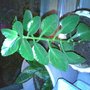 Image069.jpg