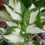 Captured_2007-5-14_00020
