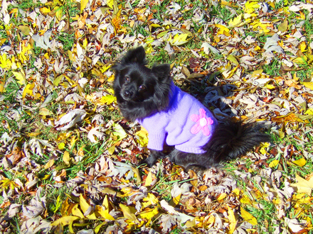 Sophia in October