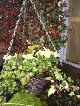 Winter Basket