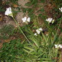 Imag0252