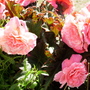 Pict0044