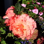 Pict0034