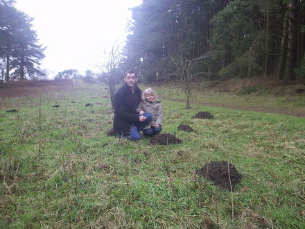 We'll take 10 molehills. Are they free?