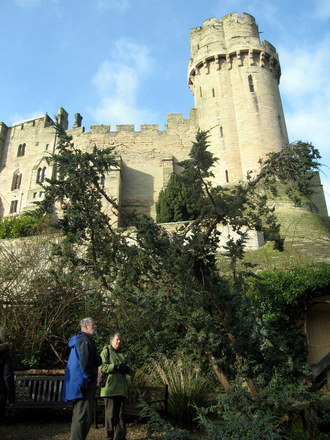 The Mill Garden, in the shadow of the castle