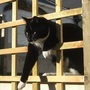 070114_can_i_fit_through_here