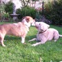070808_playing