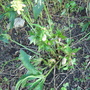 Dsc02700