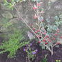 Spring_corner_