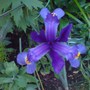 Dsc00035