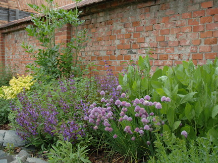 Herb garden